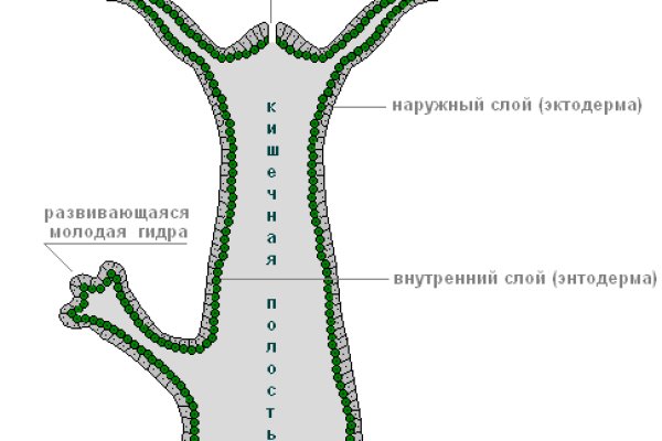 Кракен современный маркетплейс