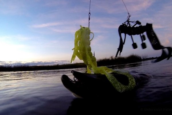 Kraken официальная ссылка