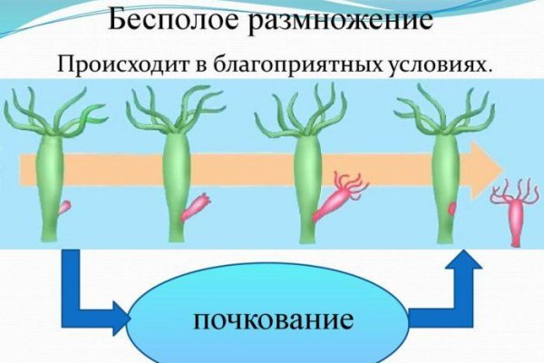 Кракен маркет только через тор скачать