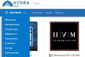 Ссылки на сайты даркнета